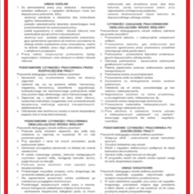 ZNAK BEZPIECZEŃSTWA 250x350