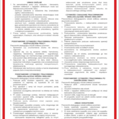 ZNAK BEZPIECZEŃSTWA 250x350
