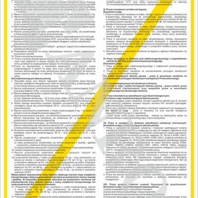 ZNAK BEZPIECZEŃSTWA 250x350